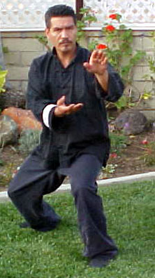 pa-tuan-chin/tai chi video